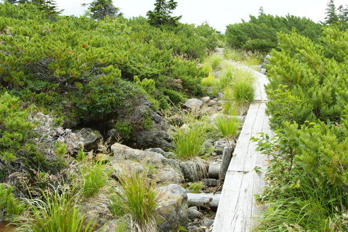 e0307372_22123563.jpg