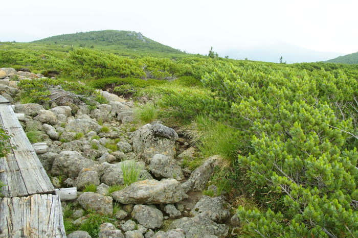 e0307372_22184900.jpg