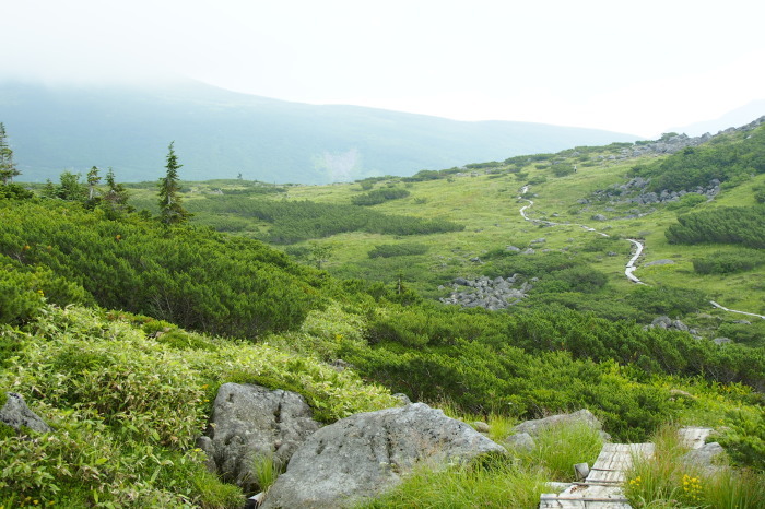 e0307372_22243691.jpg
