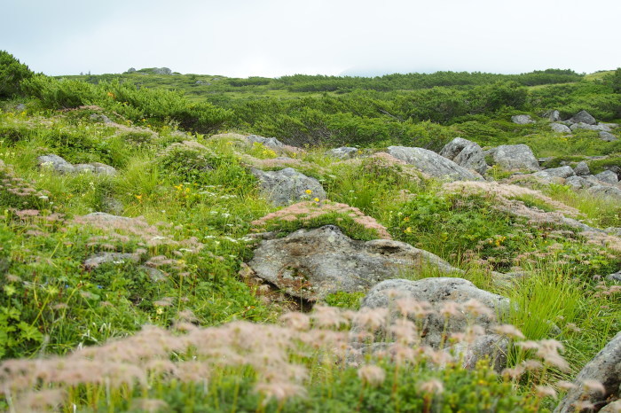 e0307372_22290615.jpg