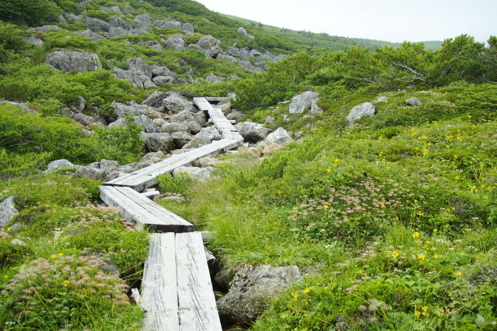 e0307372_22312278.jpg