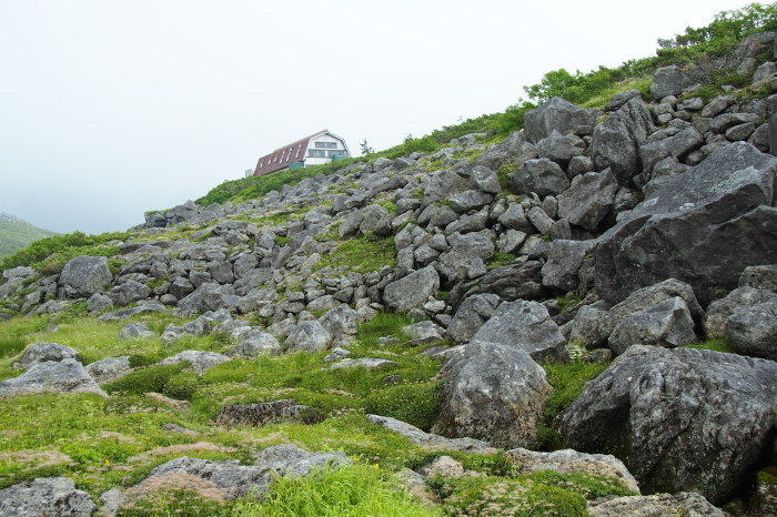 e0307372_22321924.jpg