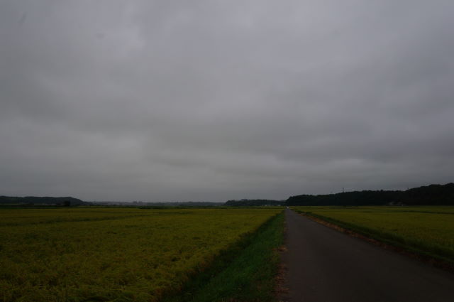 a0113874_19111566.jpg