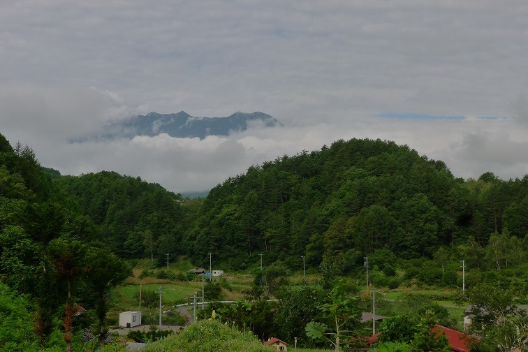 a0130586_943123.jpg