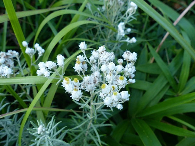 f0357487_1713054.jpg