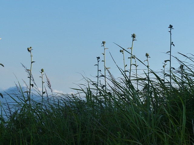 f0357487_17141389.jpg