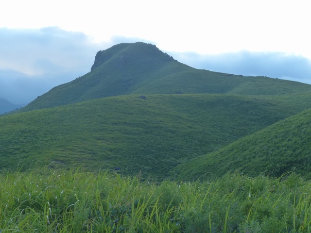 f0357487_1714985.jpg