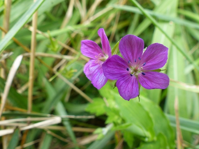 f0357487_20121937.jpg