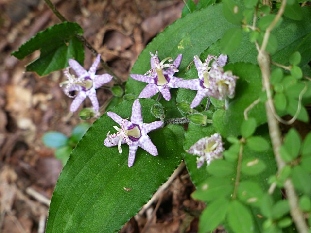 f0357487_20125383.jpg