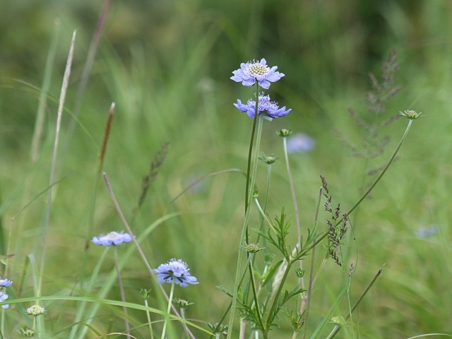 f0357487_20182462.jpg