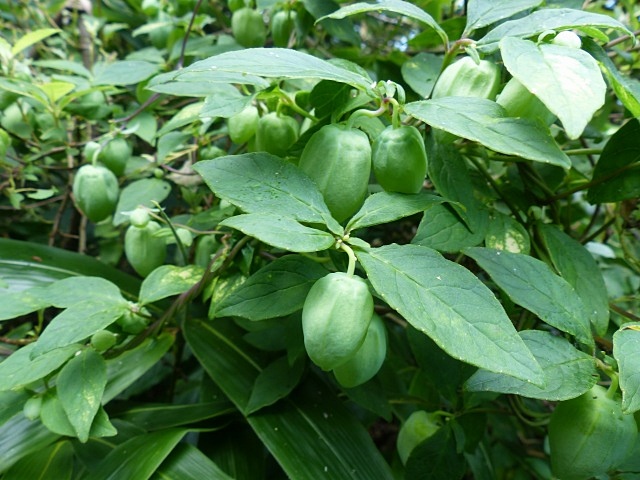 f0357487_20222432.jpg