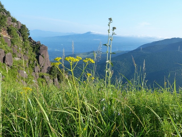 f0357487_2032992.jpg