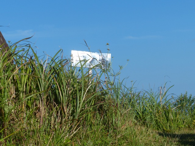 f0357487_2042722.jpg