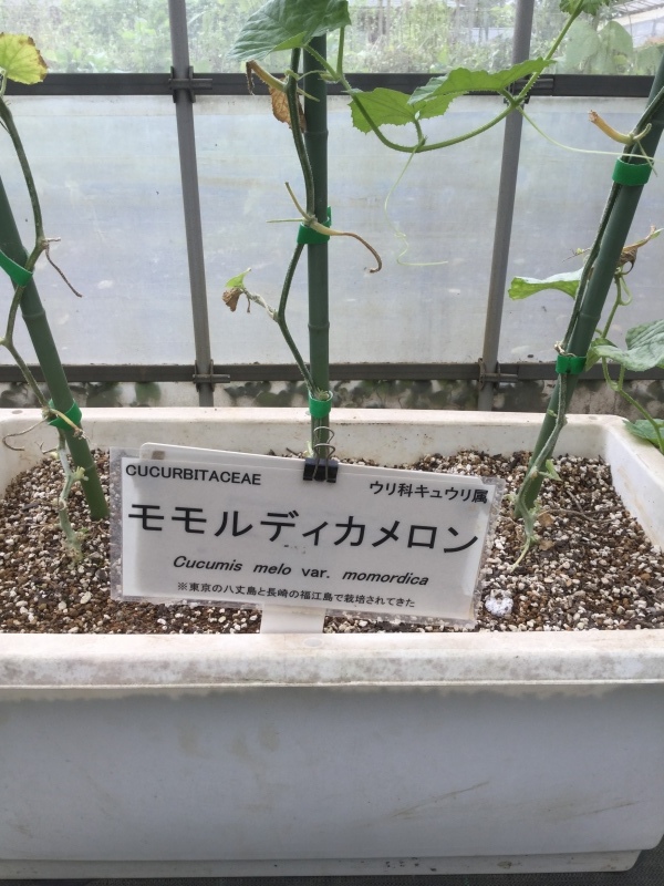 a0027290_13185055.jpeg