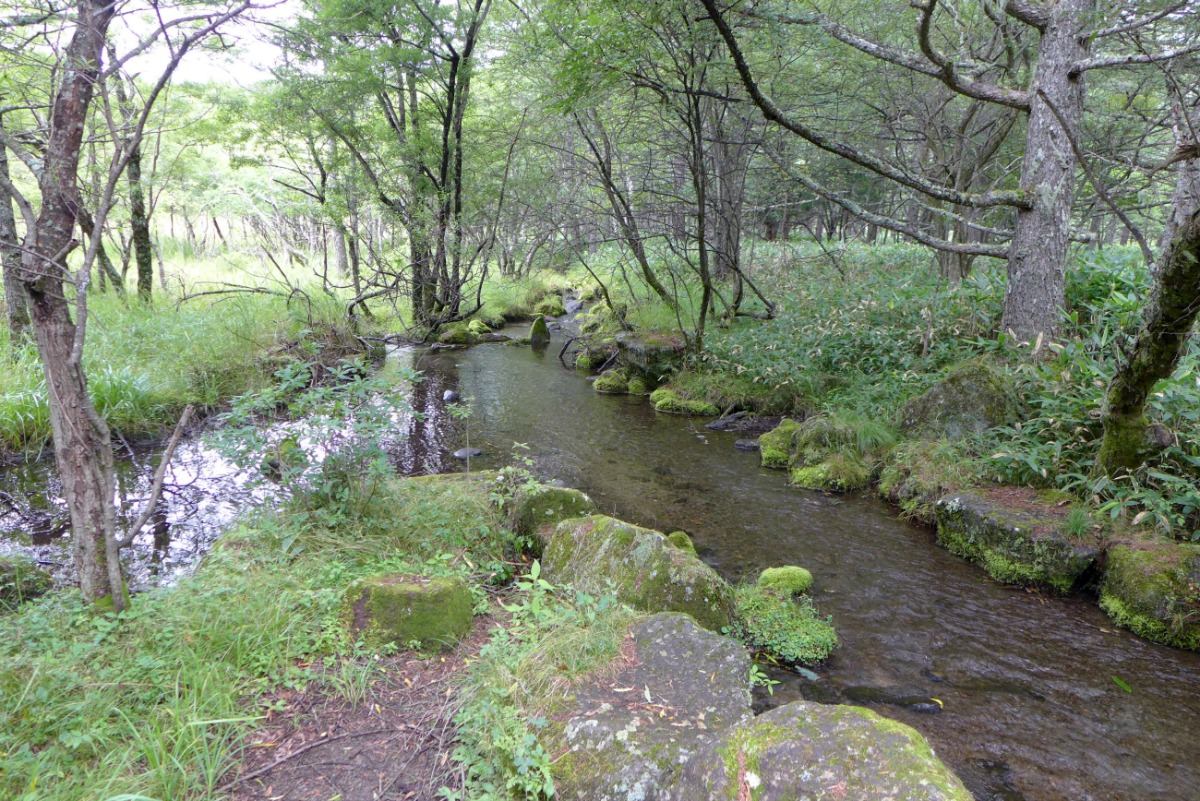 a0127090_11193637.jpg