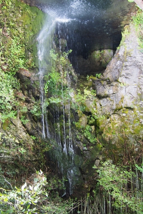 b0035391_22095382.jpg