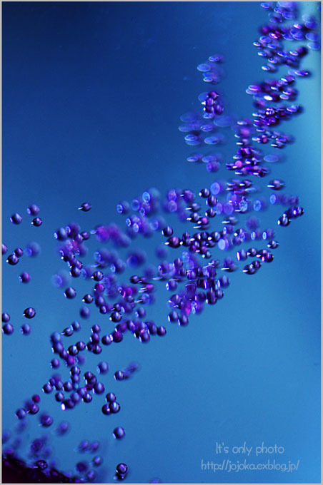 e0008800_13511236.jpg