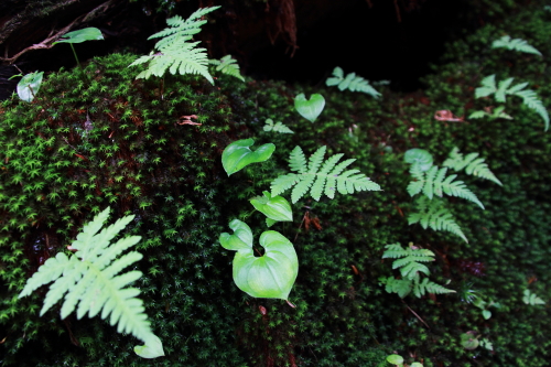 a0251508_20101046.jpg