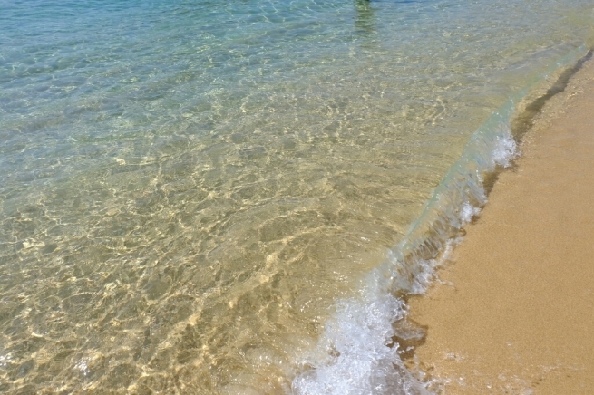 f0113108_08501248.jpg