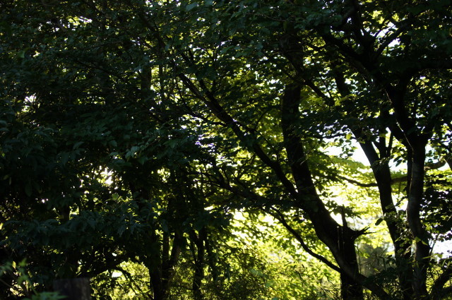 f0327308_06354630.jpg