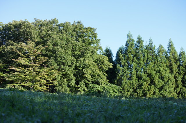 f0327308_06571133.jpg