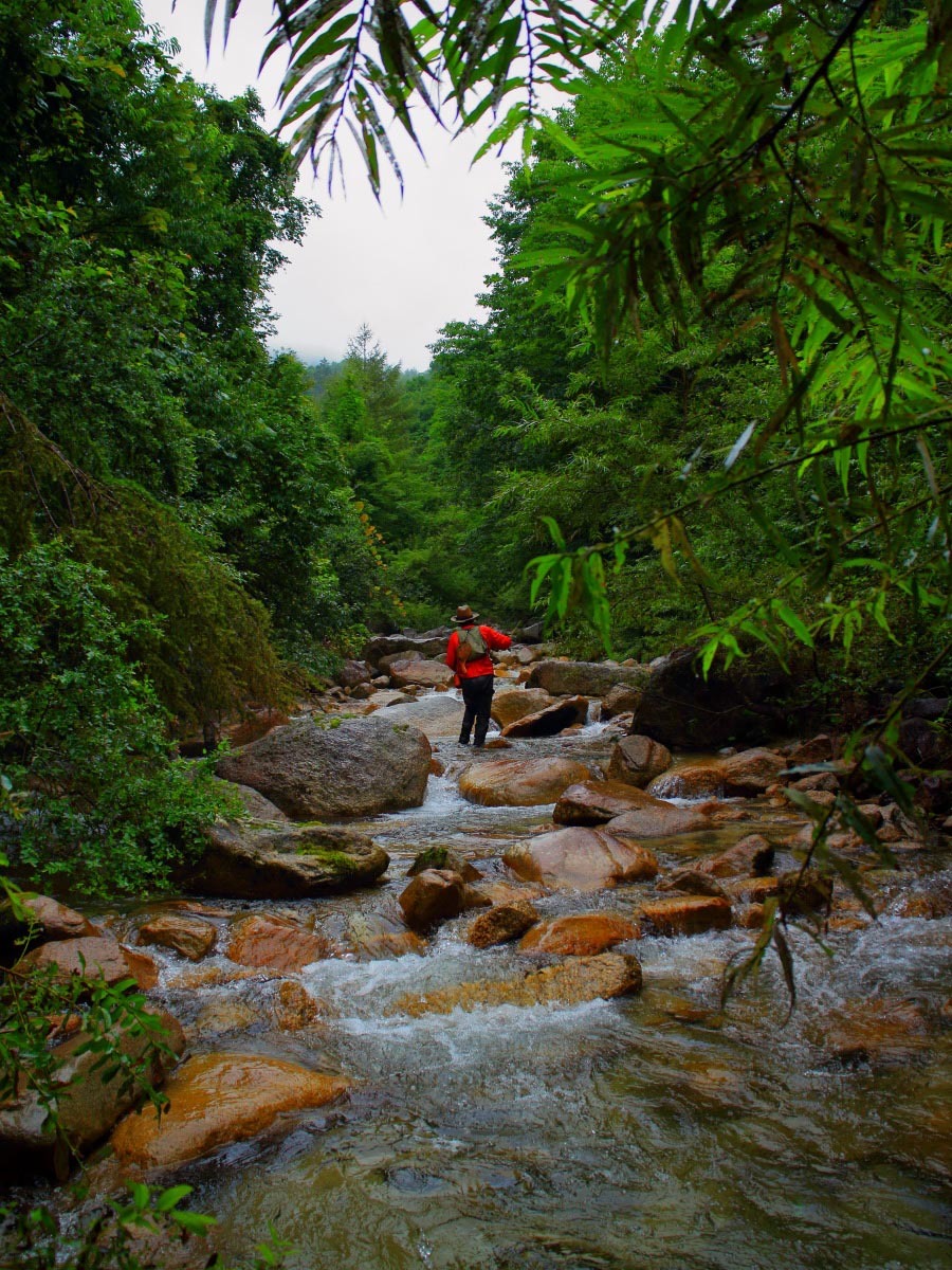 e0009009_21545682.jpg
