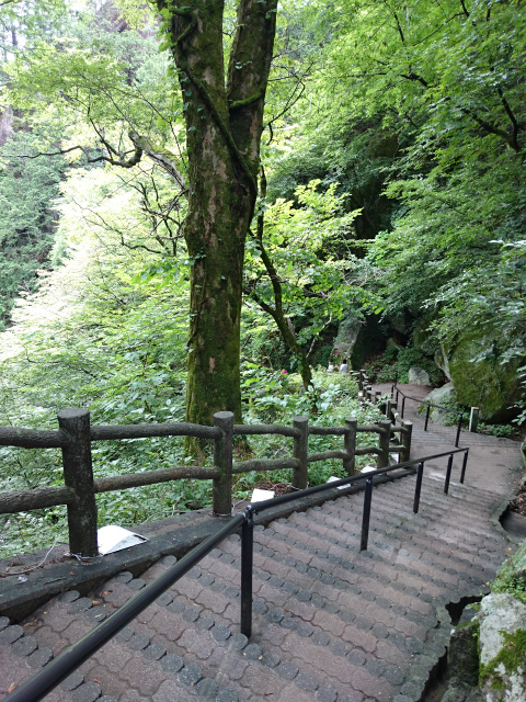 f0100911_2213844.jpg