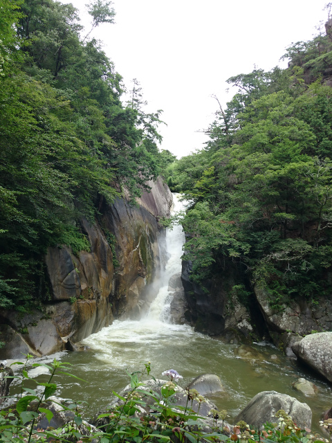 f0100911_22317100.jpg