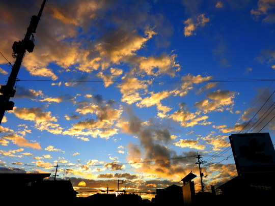 a0158613_21241513.jpg