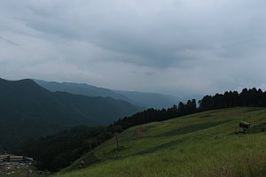 e0064313_1521825.jpg