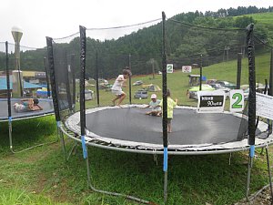 e0064313_1540949.jpg
