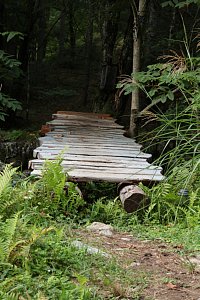 e0064313_16502998.jpg