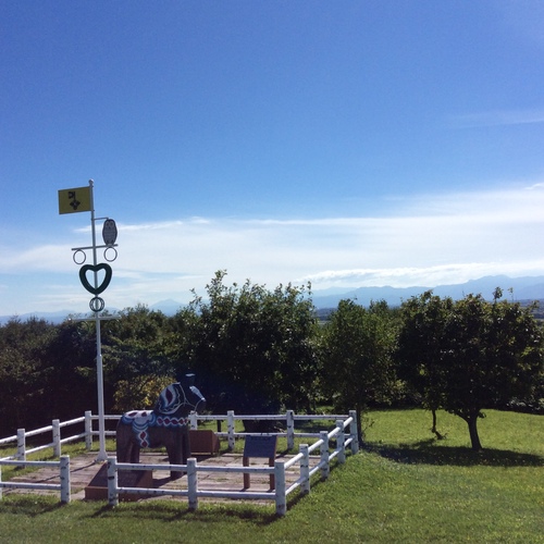 e0052716_9421260.jpg