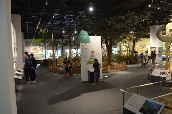 f0191517_10131438.jpg