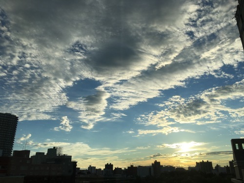 e0049318_18073823.jpg