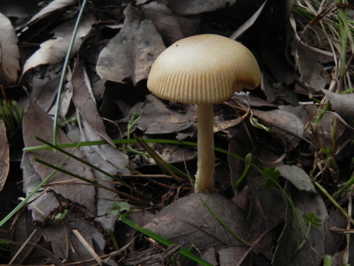 e0352220_11500770.jpg