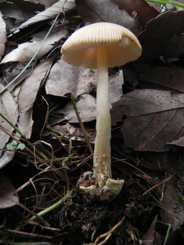e0352220_11504489.jpg
