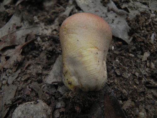 e0352220_11545966.jpg