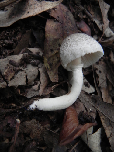 e0352220_12052782.jpg