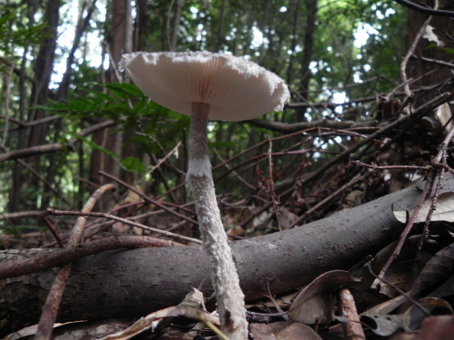 e0352220_12063763.jpg