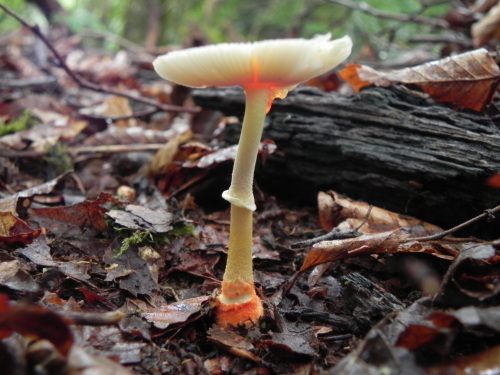 e0352220_13185906.jpg