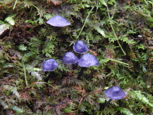e0352220_13271282.jpg