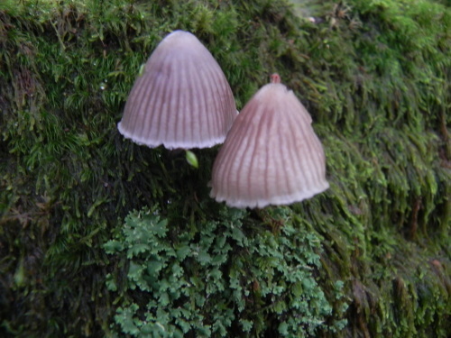 e0352220_13371616.jpg