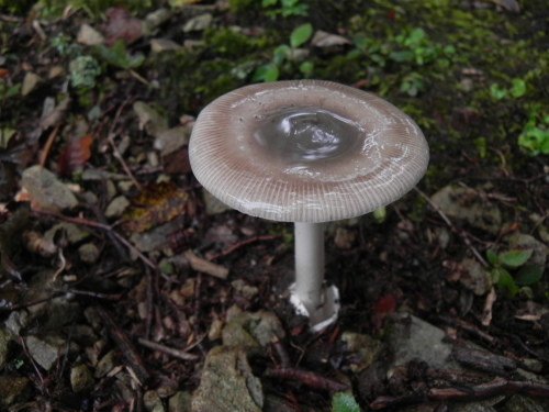 e0352220_13415694.jpg