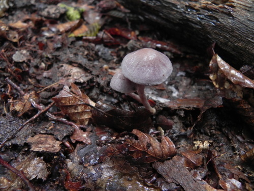e0352220_13482787.jpg