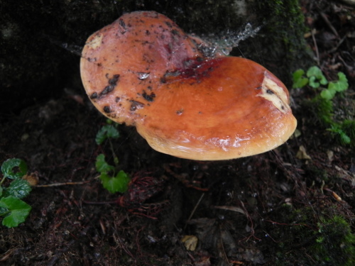 e0352220_14001552.jpg