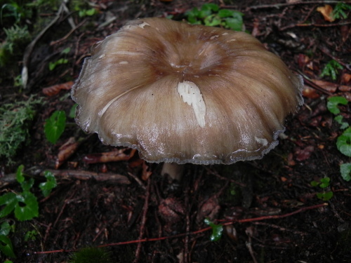 e0352220_14030042.jpg
