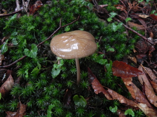 e0352220_14124334.jpg