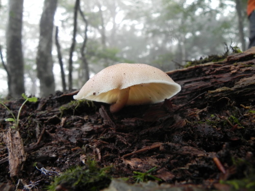 e0352220_14171451.jpg