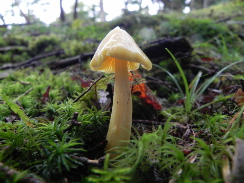 e0352220_14203088.jpg